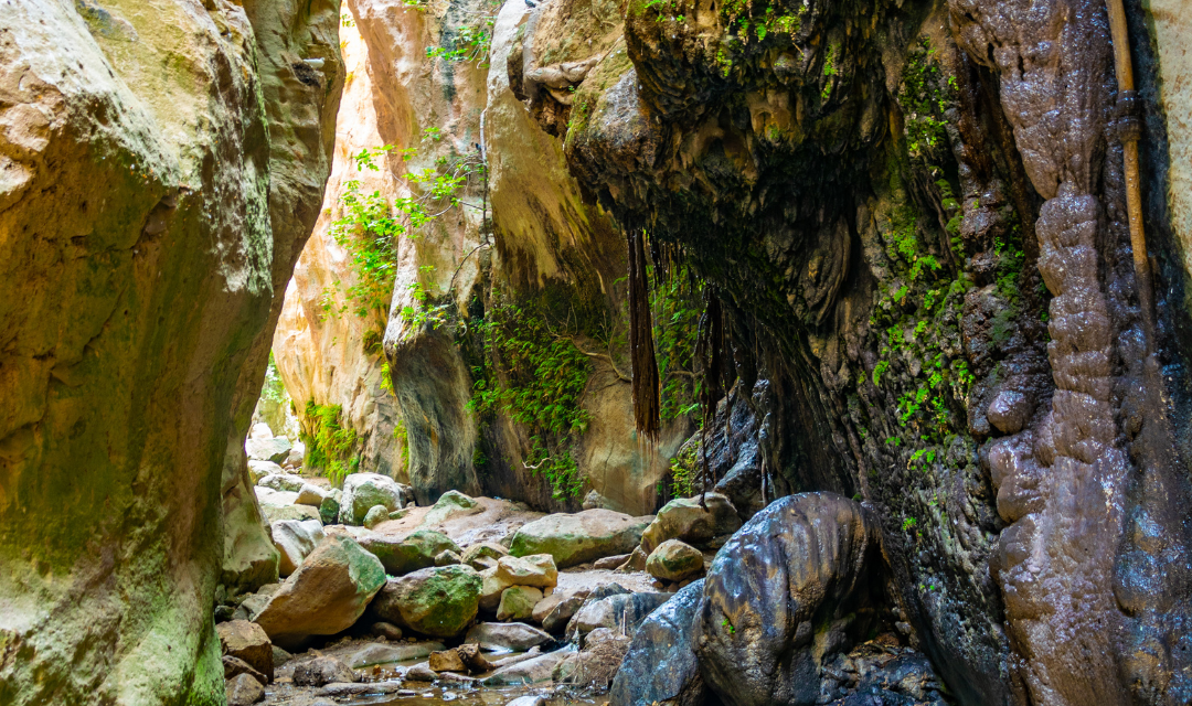 Akcja ratunkowa w wąwozie Avakas – turysta poszkodowany podczas wędrówki