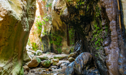 Akcja ratunkowa w wąwozie Avakas – turysta poszkodowany podczas wędrówki