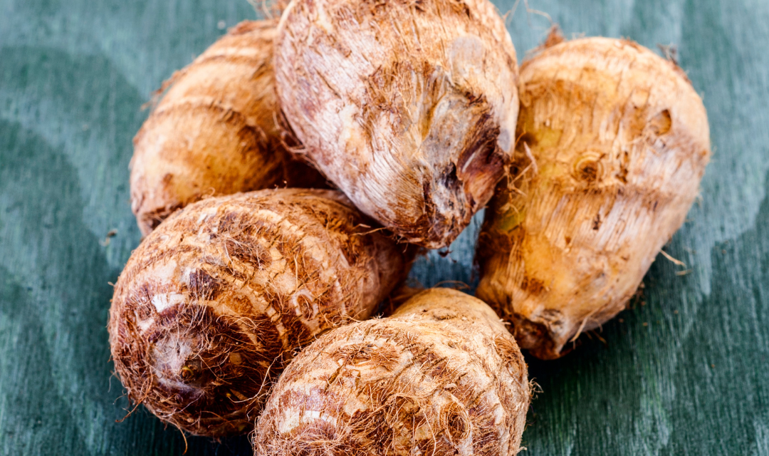 Kolokazja (taro) – włochaty brat ziemniaka