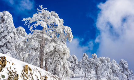 Góry Troodos odcięte od świata. Wszystkie drogi zamknięte