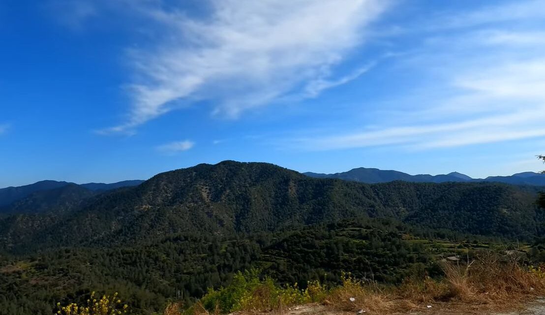 Świąteczny jarmark w wiosce Panagia pod Pafos